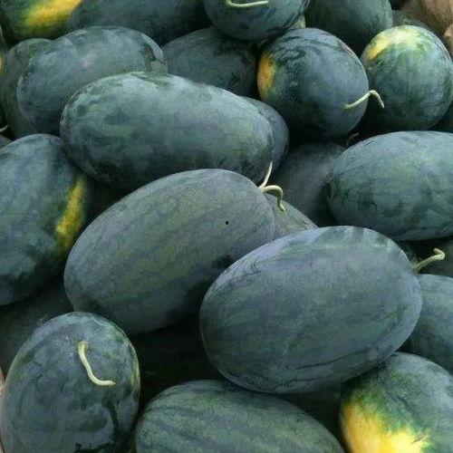 湖北高校吃瓜群,揭秘校园里的八卦风云