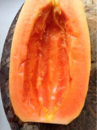 杨奶瓜咋吃,解锁美味新体验